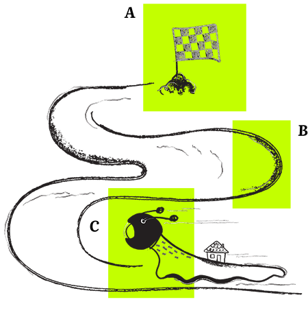 A snail moving along a path towards a flag. The flag is labelled A. The path is labelled B. The snail is labelled C.